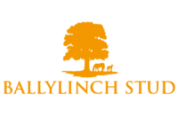 logo-ballylinch-stud.png
